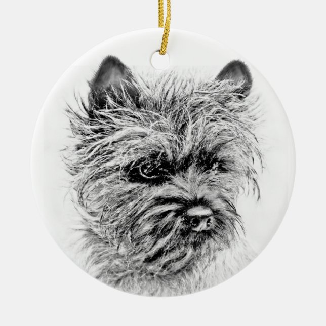Ornement En Céramique Norwich Terrier (Devant)