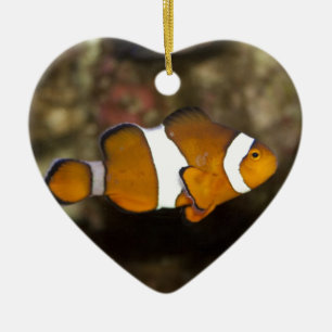 Ornement En Céramique Ocellaris Clowfish