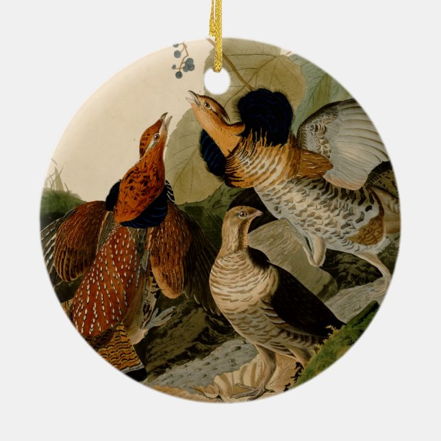 Ornement En Céramique Oiseau de gibier Audubon (Dos)
