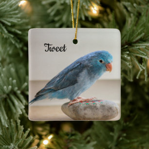Ornement En Céramique Oiseau de perroquet bleu personnalisé