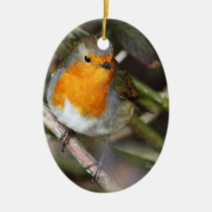 Ornement En Céramique Oiseau de Robin dans l'arbre