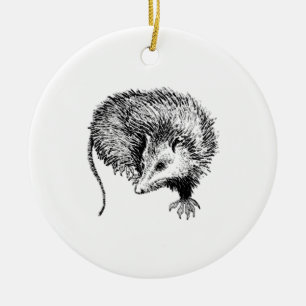 Ornement En Céramique Opossum