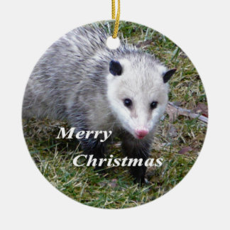 Ornement En Céramique Opossum
