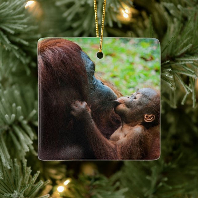 Ornement En Céramique Orangutan (Arbre)