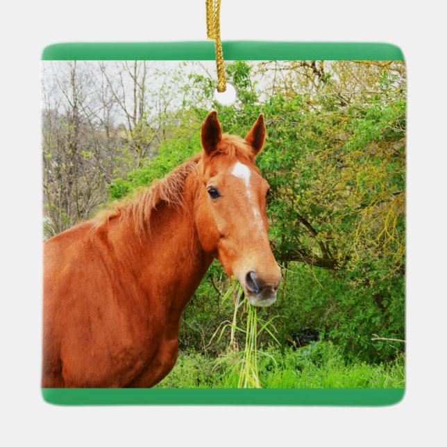Ornement En Céramique Orion le cheval affamé (Devant)