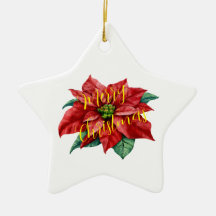 OrnamentCéramique, Ornament étoile, fête,