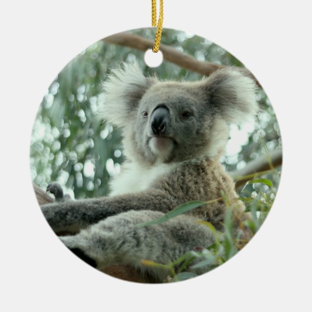 Ornement En Céramique Ours de koala (Devant)