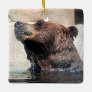 Ornement En Céramique Ours grizzli jouant dans l'eau