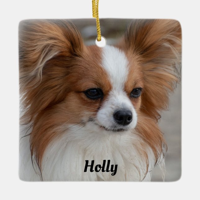 Ornement En Céramique Papillon Chien chiot Papillon personnalisé (Devant)