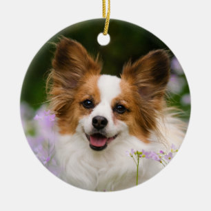 Ornement En Céramique Papillon Chien Romantique Cute Portrait