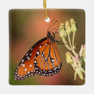 Ornement En Céramique Papillon de la reine sur une branche