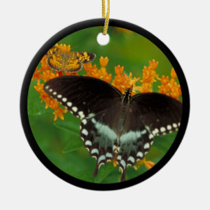 Ornement En Céramique Papillon épicebush Swallowtail