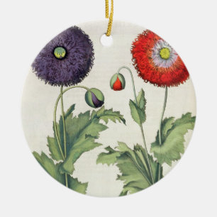 Ornement En Céramique Pavots : incarnato de multiplici du flore