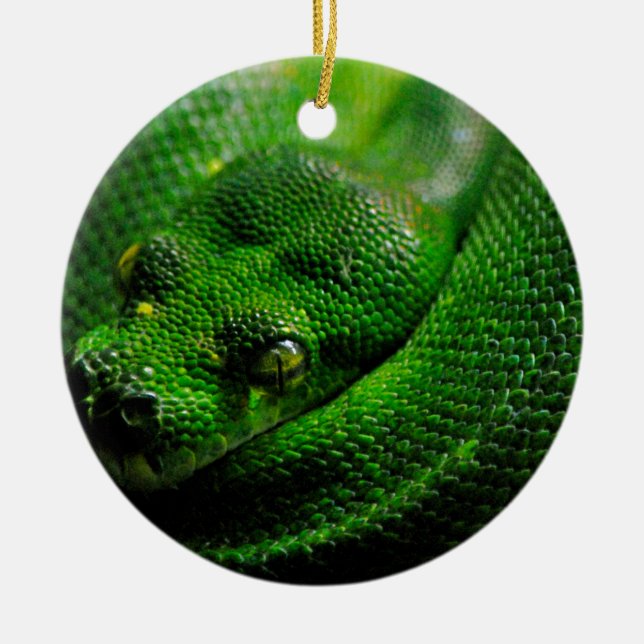 Ornement En Céramique Pays de serpent (Devant)