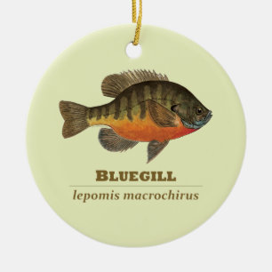 Ornement En Céramique Pêche à la Breve de Bluegill