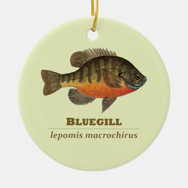 Ornement En Céramique Pêche à la Breve de Bluegill (Devant)