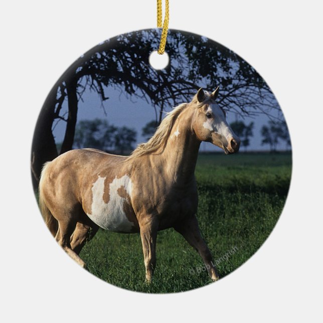 Ornement En Céramique Peignez le cheval tenant 2 (Devant)