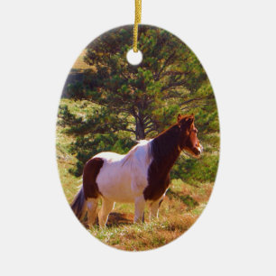 Ornement En Céramique Peint Poney par le pin