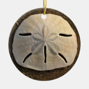 Ornement En Céramique Pendentif d'ornement de plage de sable Dollar Seas