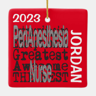 Ornement En Céramique PeriAnesthesia Nurse Extraordinaire CUSTOM