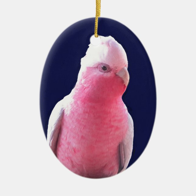 Ornement En Céramique Perroquet australien rose et gris effronté (Devant)