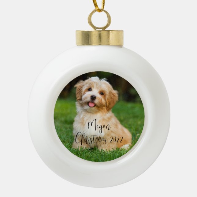Ornement en céramique personnalisé pour chien avec (Devant)