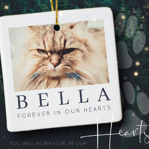 Ornement En Céramique Pet Memorial Simple Modern Chic Family Photo
