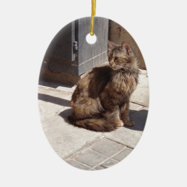 Ornement En Céramique Pétra de chat perse de longue date (Devant)