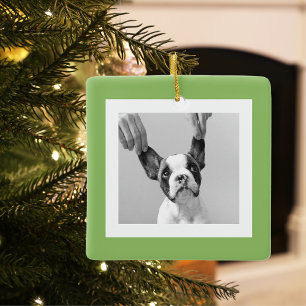Ornement En Céramique Photo Chien moderne Vert Simple Beau Cadeau