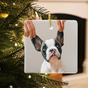 Ornement En Céramique Photo Collage moderne Meilleur Chien Maman Jamais
