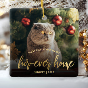 Ornement En Céramique Photo d'animal Premier Noël Maison pour toujours O
