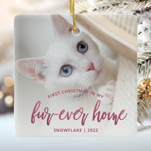 Ornement En Céramique Photo d'animal Premier Noël Maison pour toujours R