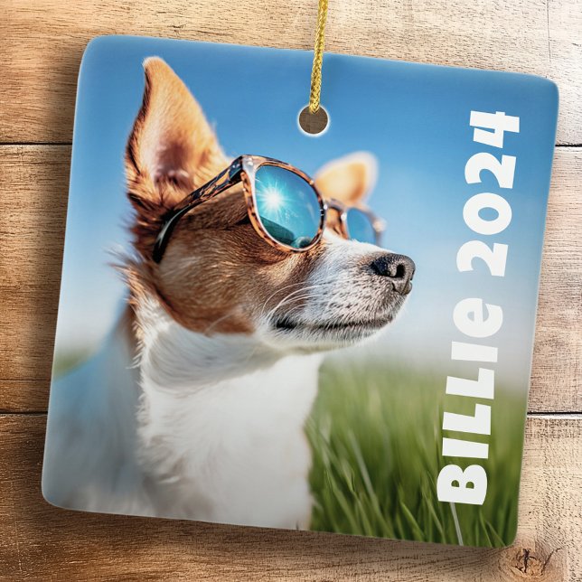 Ornement En Céramique Photo de chat pour chien de compagnie (Pet dog cat photo ceramic ornament)