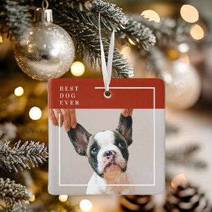 Ornement En Céramique Photo « Meilleur chien ever » en terre cuite moder