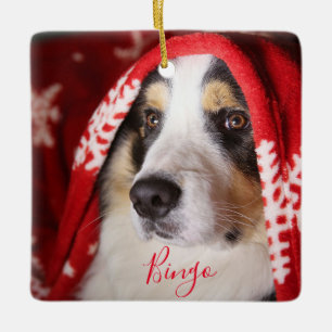 Ornement En Céramique Photo Pet Christmas