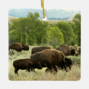 Ornement En Céramique Photographie de bisons sauvages du Wyoming