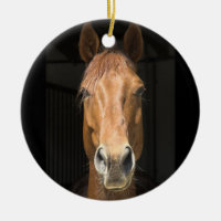 Photographie de visage de cheval