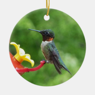 Ornement En Céramique Photographie d'oiseau Colibri à gorge rubis
