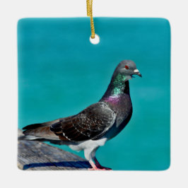 Ornement En Céramique Pigeon Avec Vue