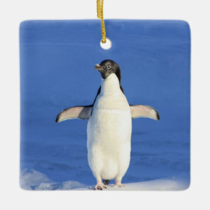 Ornement En Céramique Pingouin drôle sur la glace photo