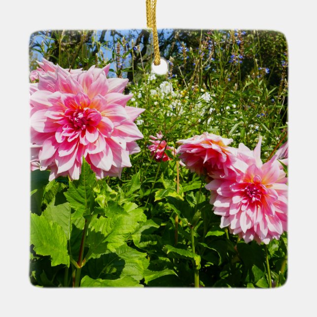 Ornement En Céramique Pink Dahlias (Otto's Thrill) (Devant)