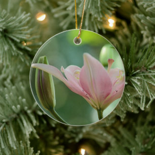 Ornement En Céramique Pink Lily-Bokeh par Shirley Taylor