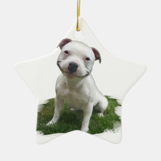 Ornement En Céramique Pittie de sourire