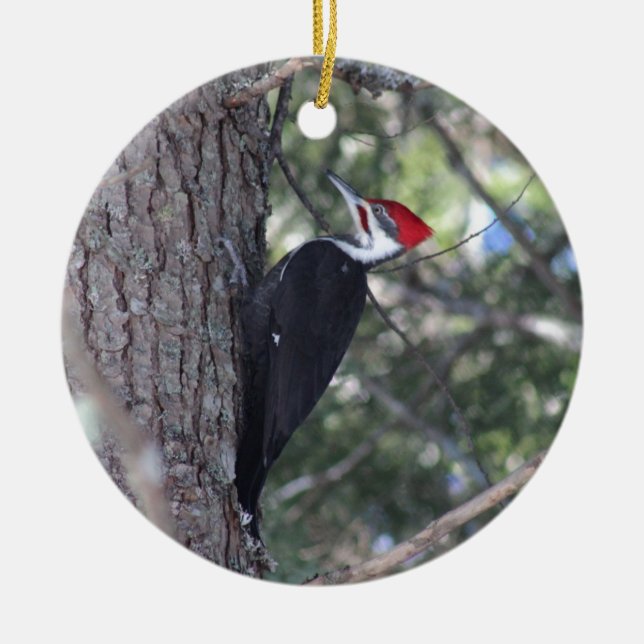 Ornement En Céramique Pivert de Pileated (Devant)