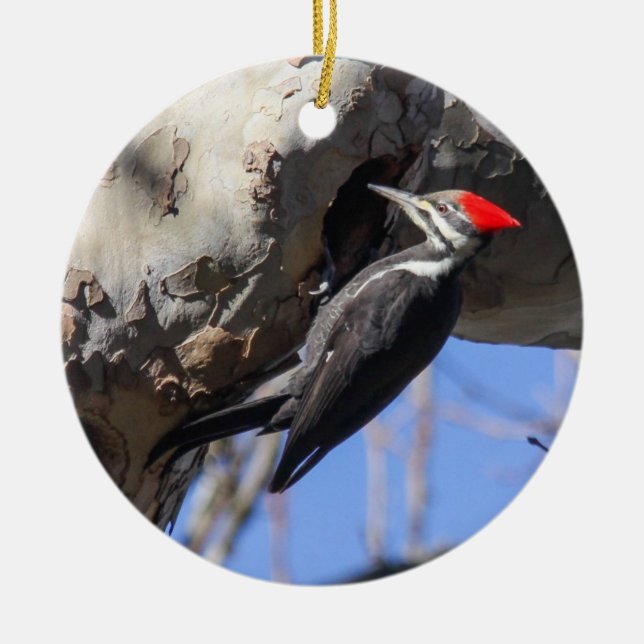 Ornement En Céramique Pivert de Pileated (Devant)