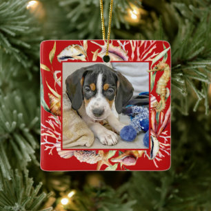 Ornement En Céramique Plage photo pour animaux personnalisés Noël