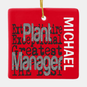 Ornement En Céramique Plante Manager Extraordinaire PERSONNALISÉ