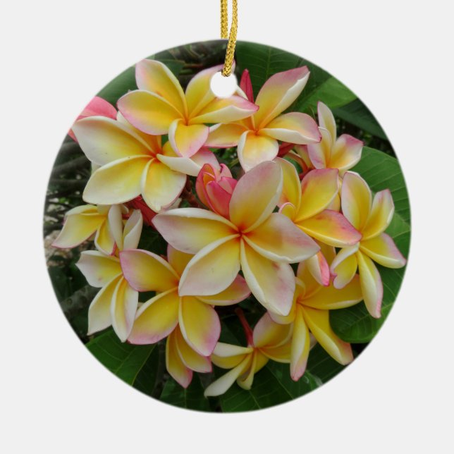 Ornement En Céramique Plumeria hawaïen (Devant)