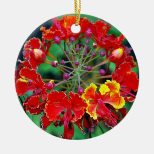 Ornement En Céramique Poinciana (ohai-ali'i)