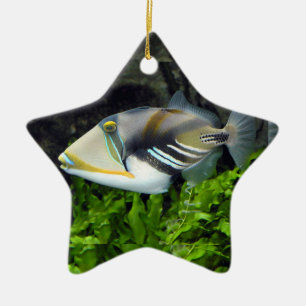 Ornement En Céramique Poisson de mer profond